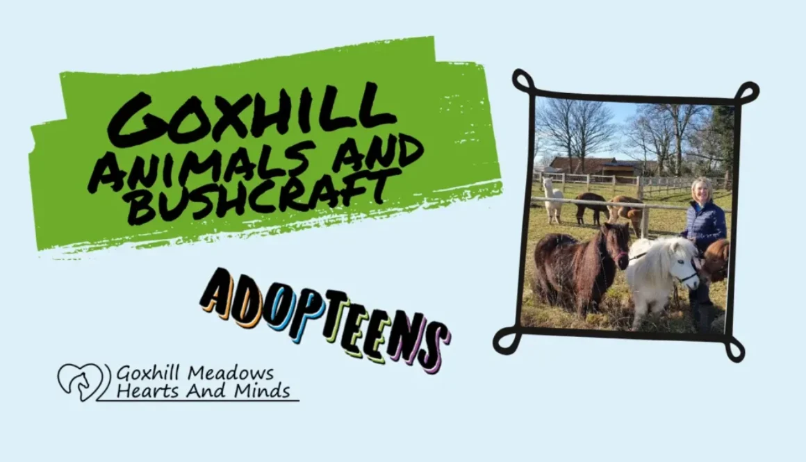 goxhill banner