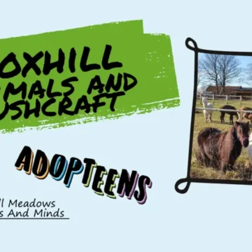 goxhill banner goxhill banner