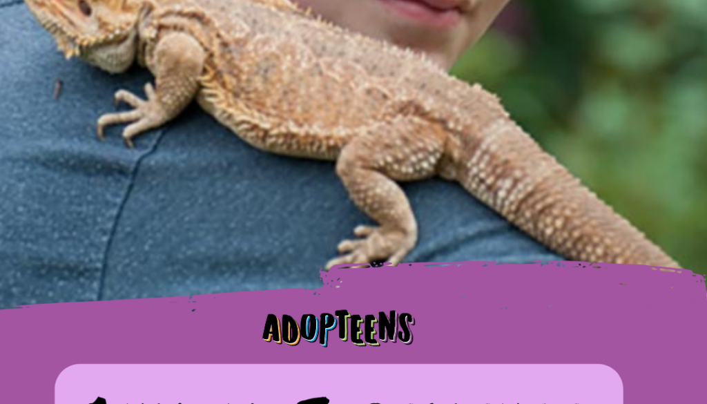 Template 4 (1)